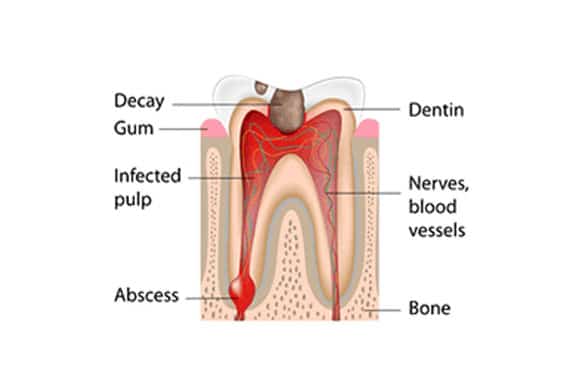 With-the-proper-dental-care